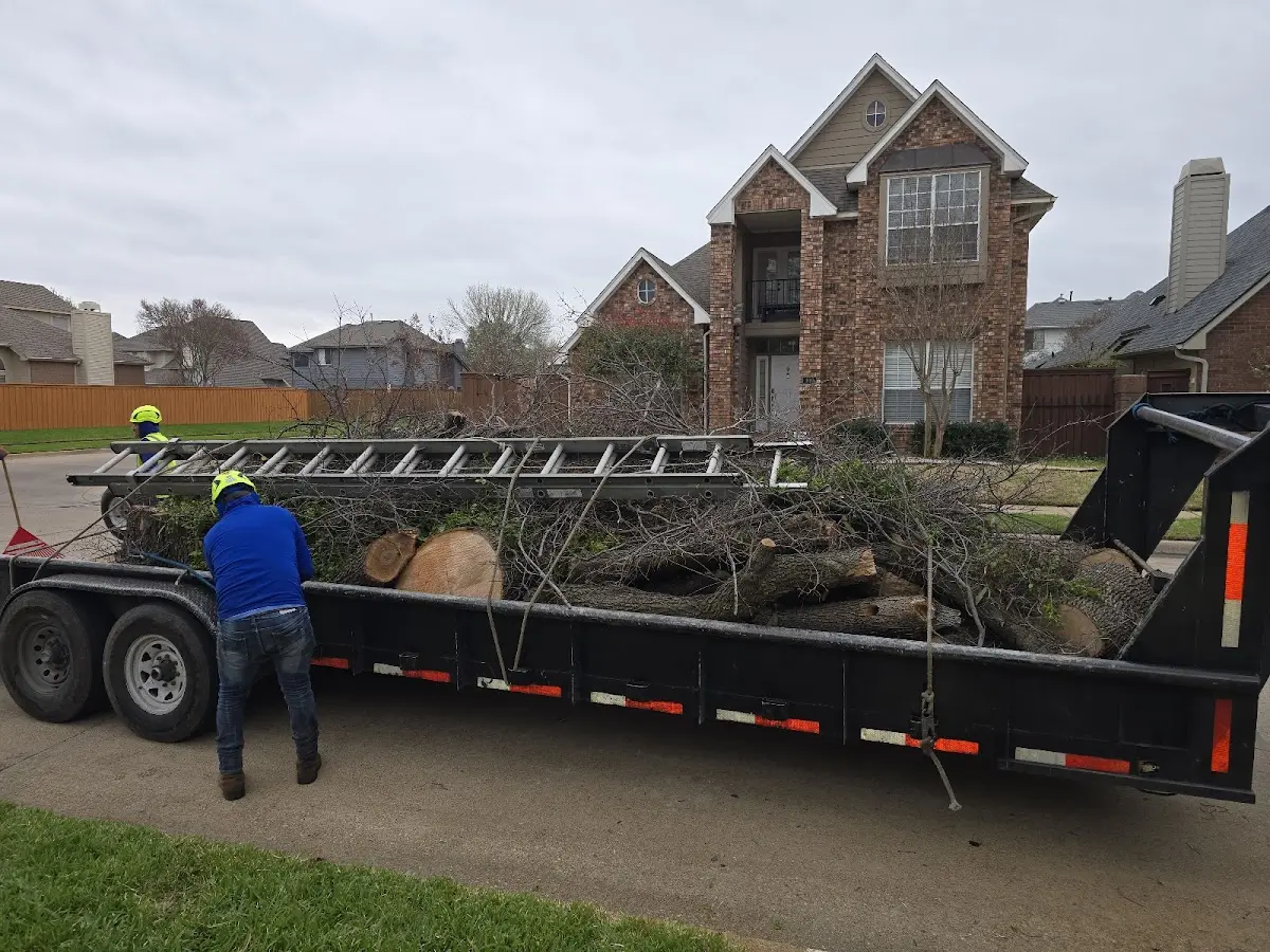 Expert Lot Clearing with proper safety equipment in Waterloo